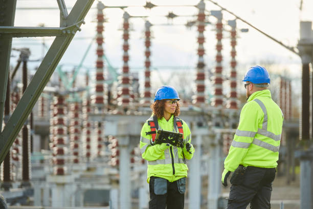Best Electric Panel Repair  in Lemont, IL